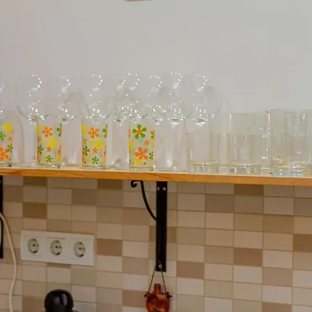 公寓 Synagogue Loft 3br Free Parking 布达佩斯